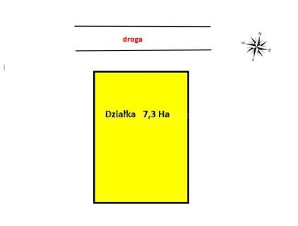 DLA DEVELOPERA 7,3 Ha Mrowino, Rokietnica, Poznań
