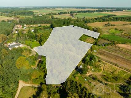 Twoja oaza natury z potencjałem   Stawno, 2,92 ha 