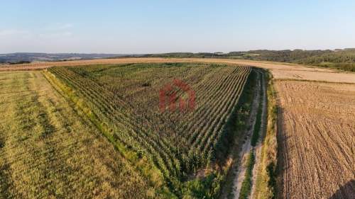 Działka na sprzedaż 30 ar BRZEZINY Warunki zabudowy