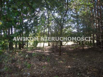 Dom na sprzedaż, 160 m2, Żabia Wola