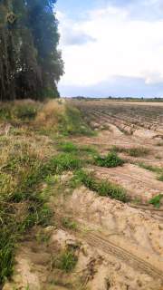 Sprzedam działki budowlane w miejscowości Walentów
