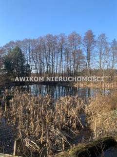 Mszczonów, Adamowice