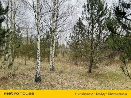 BUDY WOLSKIE - działka budowlana 5098 m2