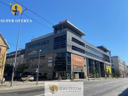 Lokal DUŻY w Centrum Gdyni 