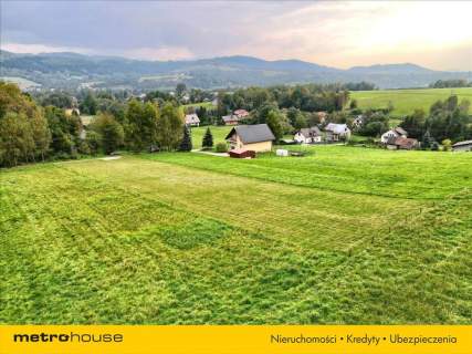 Działka budowlana I 2033m2 I Gilowice I 245tys zł.