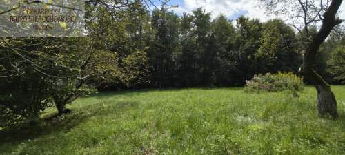 Działka budowlana na sprzedaż, 8200 m2, Babica