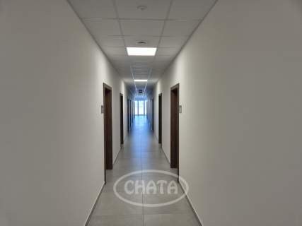 Biuro do wynajęcia, 45 m2, Radwanice