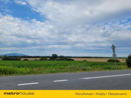 Działka siedliskowa Piława, Mietków pow. 9 030 m2