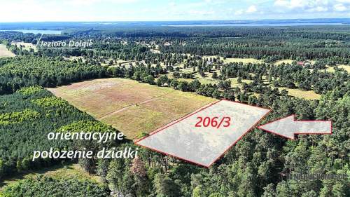 Okolica jeziora Dołgie i kompleksów leśnych.