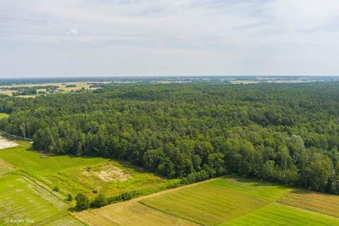 Działka leśna- Narożniki- Radgoszcz