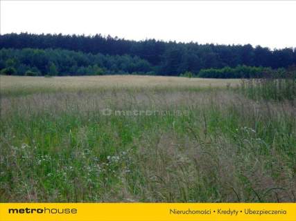 Działka rolna na sprzedaż, 21392 m2, Polska Wieś