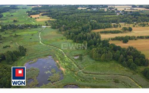 Działka na sprzedaż, 30100 m2, Albertów
