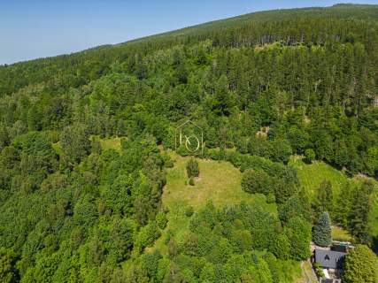 Świeradów-Zdrój/6000m2/media/do 3 kondygnacji