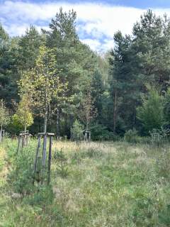 Działka rolna