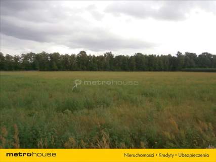 DZIAŁKA BUDOWLANA, RYBNO WIELKIE, MPZP