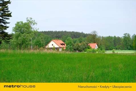 Działka siedliskowa na sprzedaż, 7100 m2, Pąchy