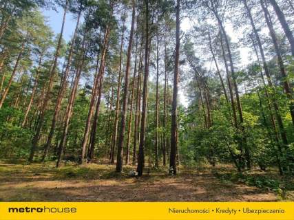 Działka rekreacyjna na sprzedaż, 2600 m2, Mierzwice-Kolonia