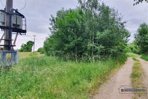 Działki rekreacyjne blisko jeziora Pile
