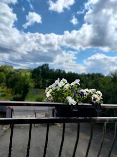 Pensjonat w Ostrzycach blisko jeziora