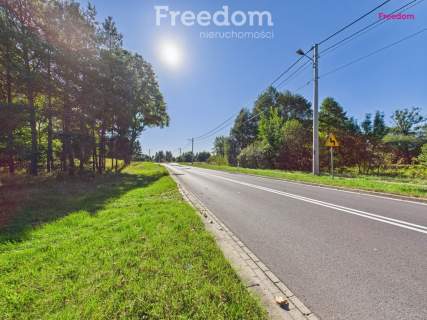 Działki budowlane z warunkami zabu/Sucha - Pionki