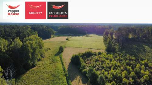 DZIAŁKA ROLNA W SPOKOJNEJ OKOLICY 2000M2