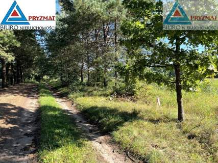 Działki z warunkami zabudowy - MARUNY