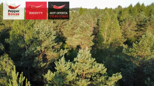 DZIAŁKA ROLNA W SPOKOJNEJ OKOLICY 2000M2