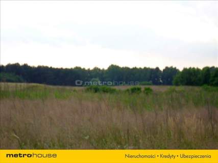 Działka rolna na sprzedaż, 21392 m2, Polska Wieś