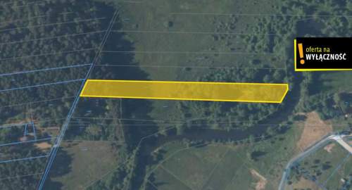 Działka leśna Suków Podmarzysz 5.600 mkw.