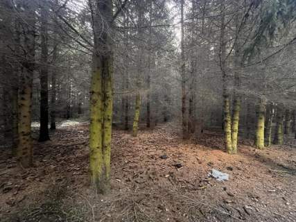 Teren inwestycyjny 4,26 ha MPZP -1PU ok.Mszczonów
