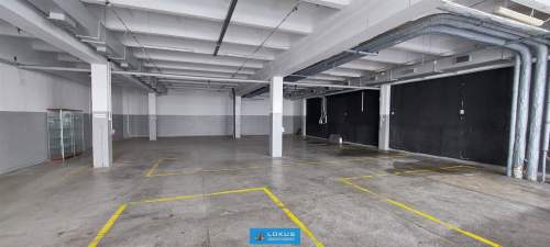 Hala magazynowa-produkcyjna 315 m2, parter, brama