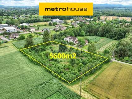 Działka siedliskowo-rolna I 5600m2 I Kaczyce I 56a