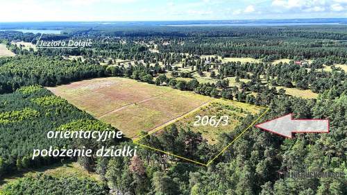 Okolica jeziora Dołgie i kompleksów leśnych.