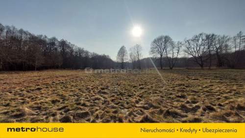 Działka na sprzedaż, 9700 m2, Zabór
