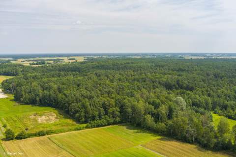 Działka leśna- Narożniki- Radgoszcz