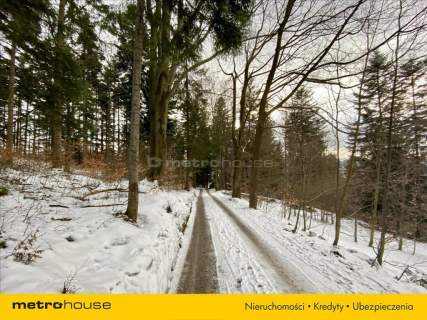 Działka w Wiśle o powierzchni 47140 m2