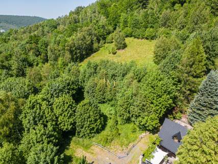 Świeradów-Zdrój/6000m2/media/do 3 kondygnacji