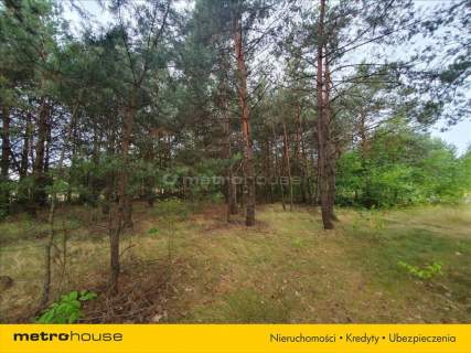 Działka budowlana na sprzedaż, 4800 m2, Podmieście