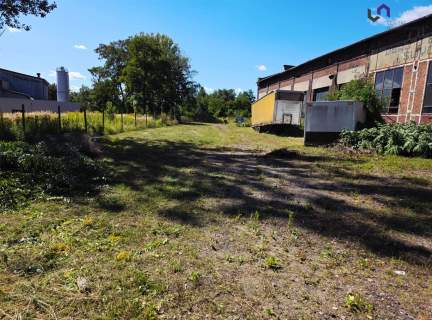 Magazyn do wynajęcia, 774 m2, Zabrze