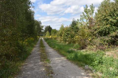 Działka budowlana na sprzedaż, 10100 m2, Lisowola