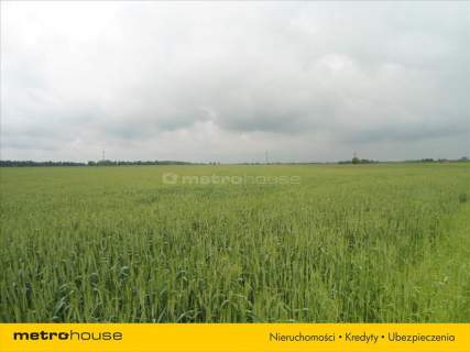 Działka rolna na sprzedaż, 447300 m2, Drzonów