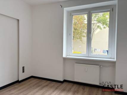 3-pokojowe mieszkanie w centrum Poznania-wynajem
