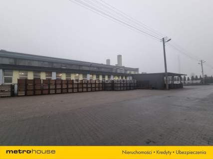 Magazyn do wynajęcia, 2000 m2, Łosice