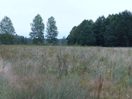 Działki rolno-budowlane razem 8,85ha