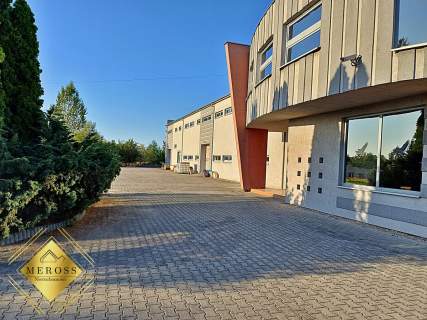 Lokal na wynajem w promocyjnej cenie