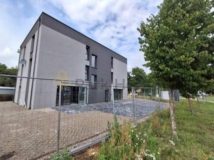DO WYNAJĘCIA przestronny lokal na parterze 161m2