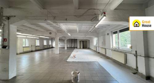 Lokal użytkowy 350 m Pakosz