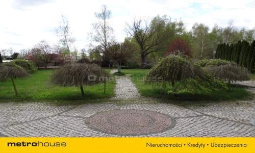 Dom/Las/Natura