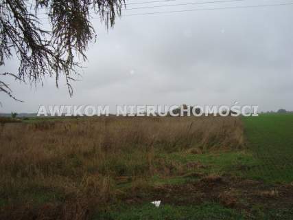 Działka rolna na sprzedaż, 3000 m2, Wikcinek