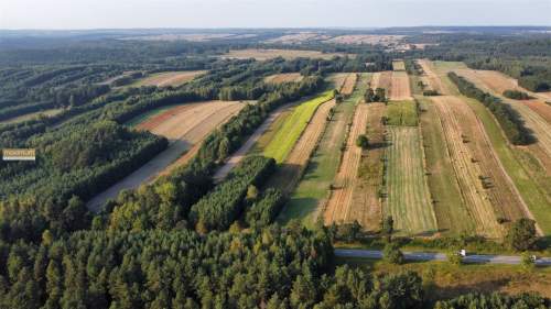 Działki rolne 2,05 ha i leśna 0,43 ha Długi Kąt